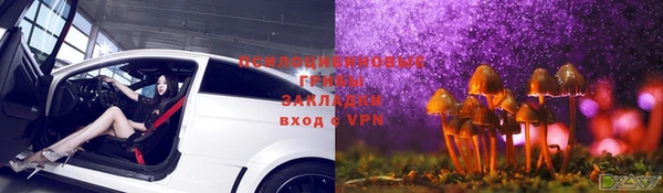 стафф Абинск