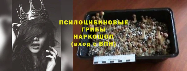 стаф Абдулино