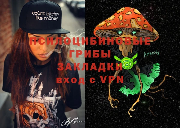 стаф Абдулино