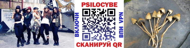 Галлюциногенные грибы прущие грибы  omg tor  даркнет наркотические препараты  закладка  Сысерть 